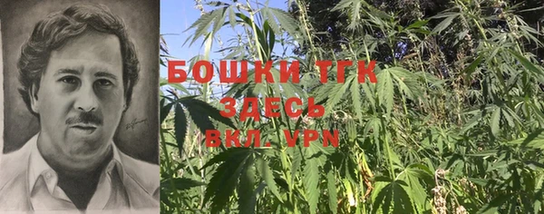 эйфоретик Каменногорск